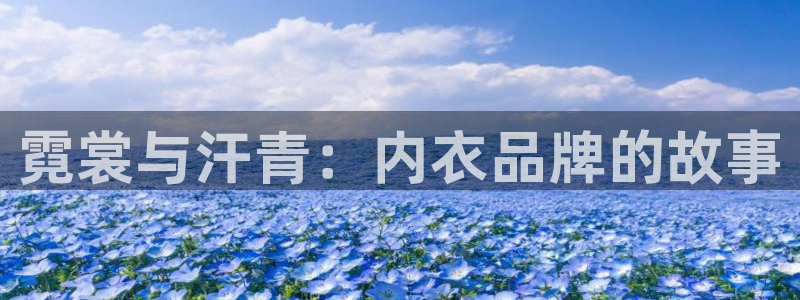 58动漫网热门动漫