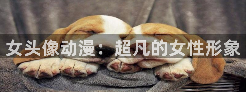 58动漫网官方下载