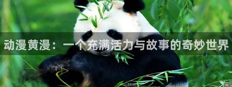 58动漫网站免费看