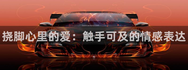 58动漫网站免费看