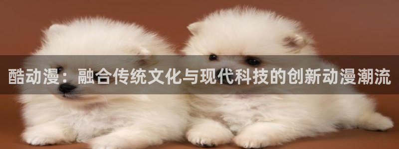 58动漫网站官网免费