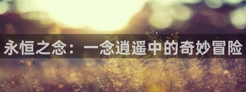 58动漫网入口