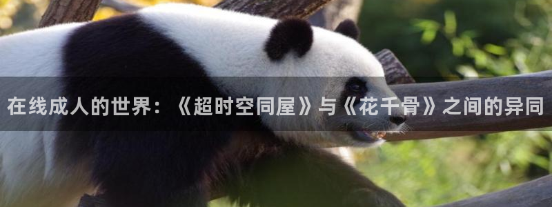 58动漫官网首页