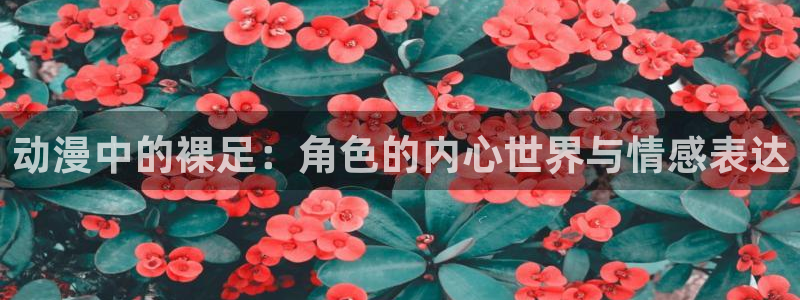 58动漫网app